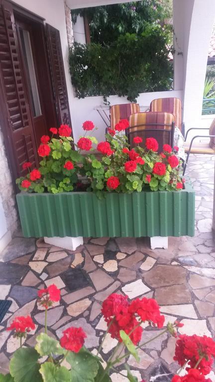 Apartments Soric Rovinj Zewnętrze zdjęcie